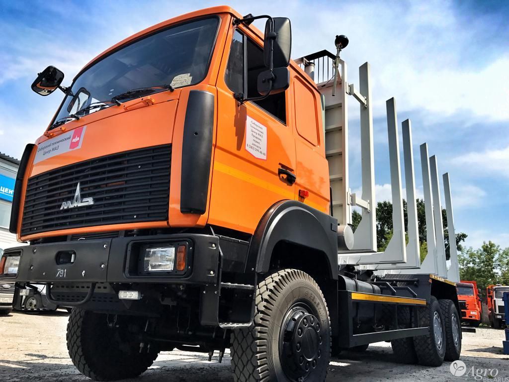 Гидроманипулятор Майман 100S на базе лесовоза МАЗ-631708-1244