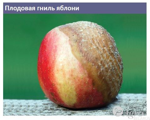 Фунгицид Медея, МЭ *