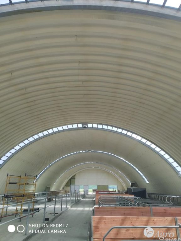 Ангар для содержания КРС, телятник