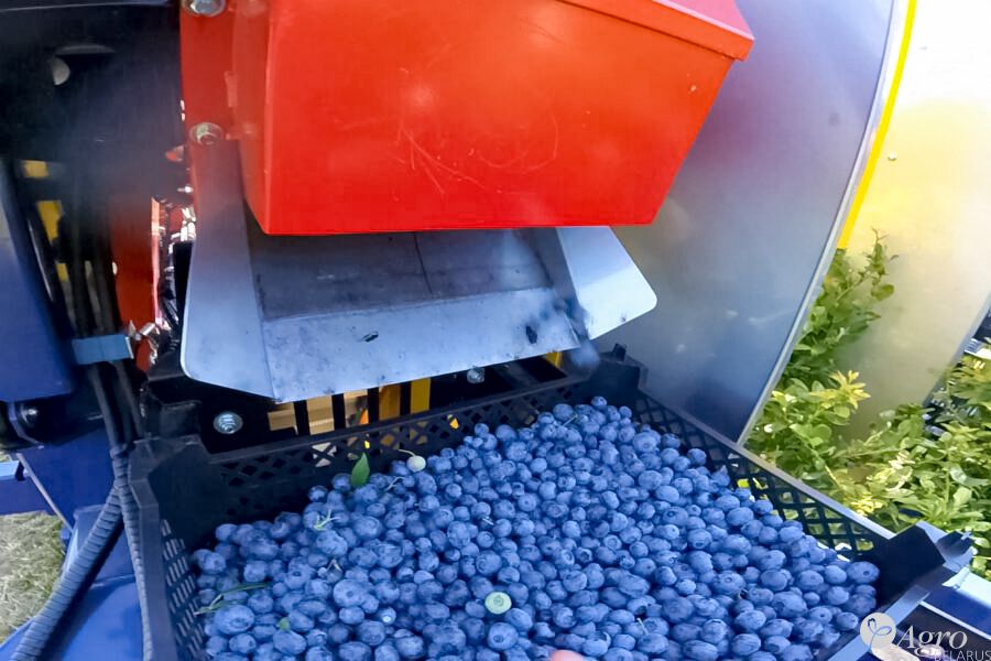 Комбайн прицепной полнорядный ягодоуборочный JAGODA 300