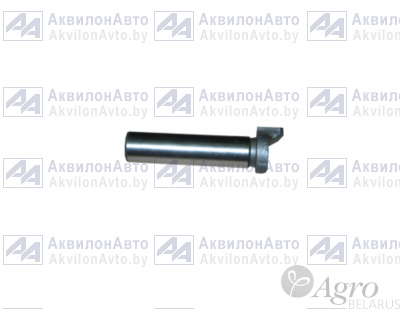 Эксцентрик (220-2303033)
