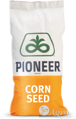 Семена кукурузы DuPont Pioneer П8521