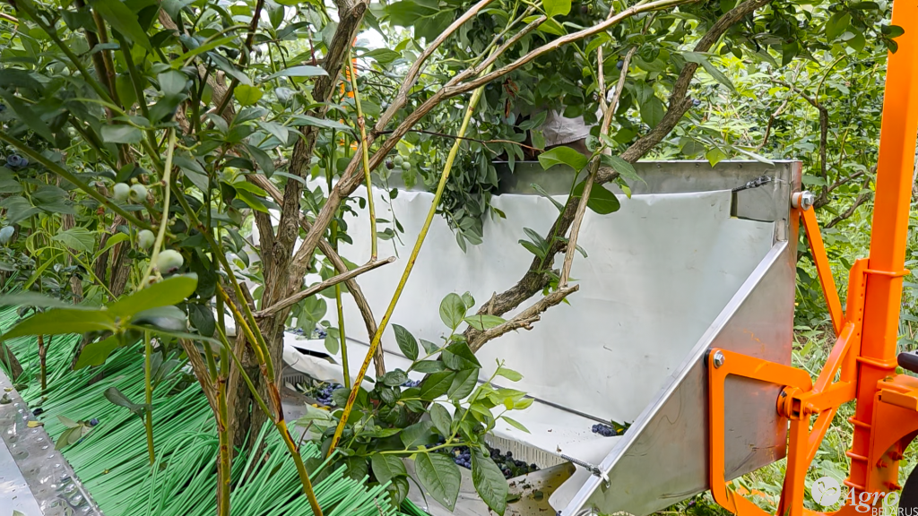 Комбайн для ручной сборки голубики КР-2