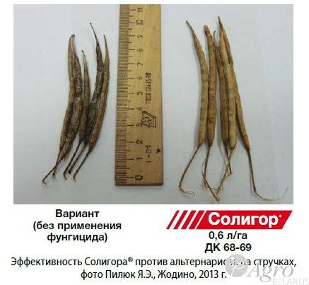 Фунгицид Солигор, КЭ