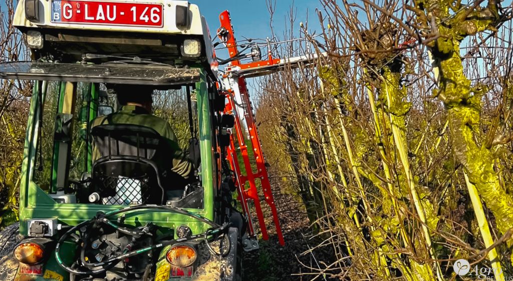 Обрезчик контурный для сада CRF (CRF-X)