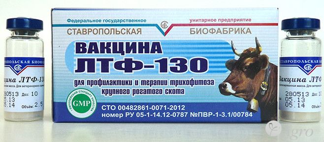 Вакцина ЛТФ-130