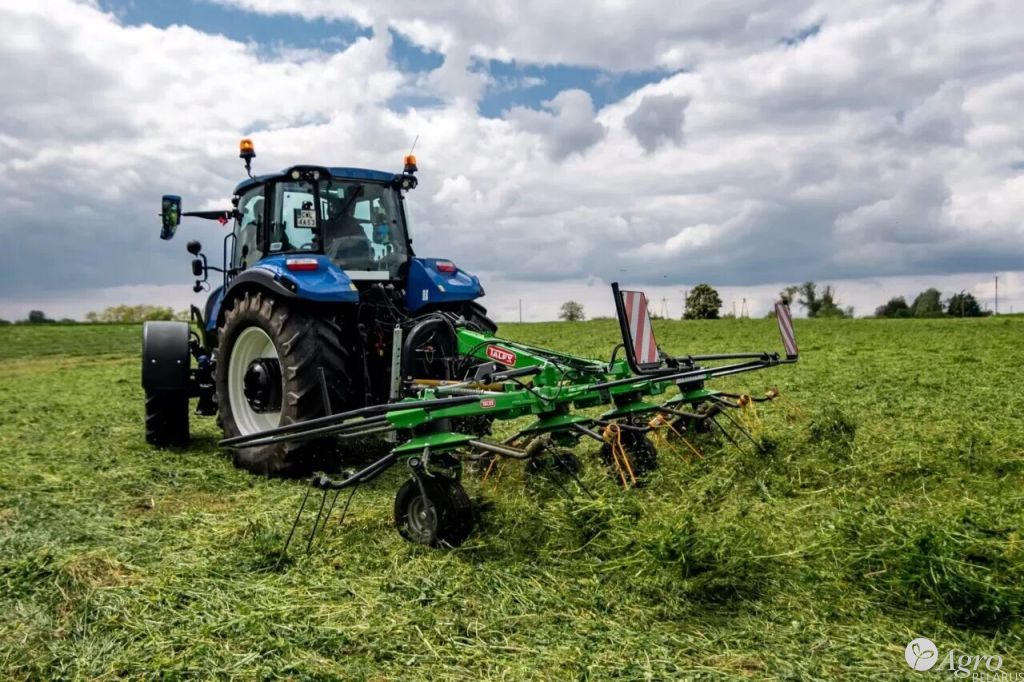 Грабли-ворошилки TORNADO 5,50