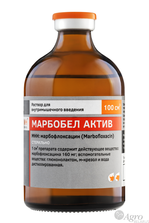 Марбобел Актив