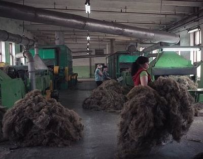 Кобяков в ближайшем будущем ожидает серьезной отдачи от льноперерабатывающей отрасли