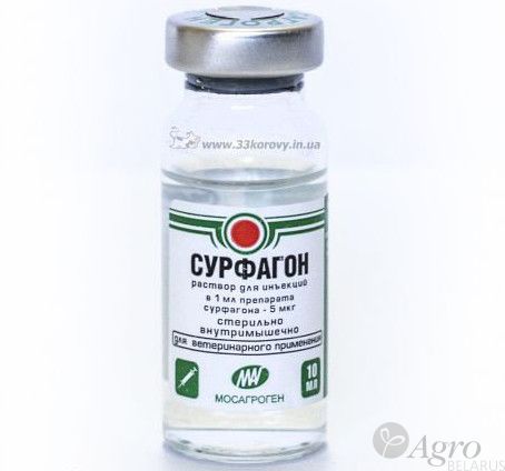 Сурфагон