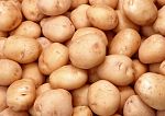 Семенная фракция картофеля от производителя
