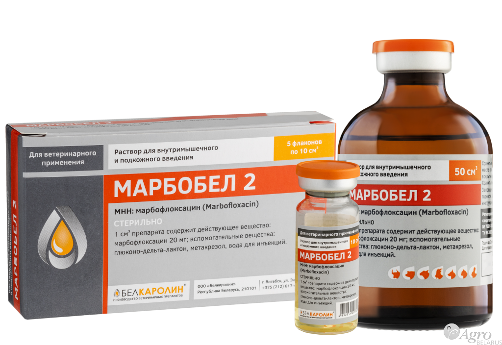Марбобел 2