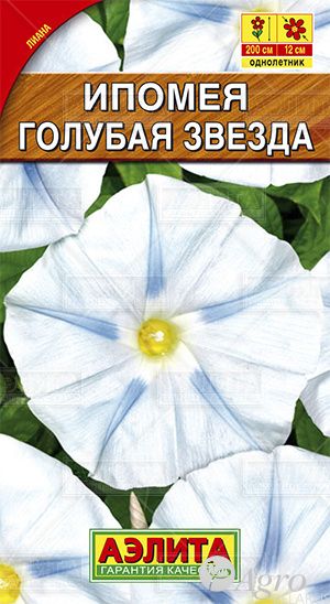 Ипомея Голубая звезда Аэлита