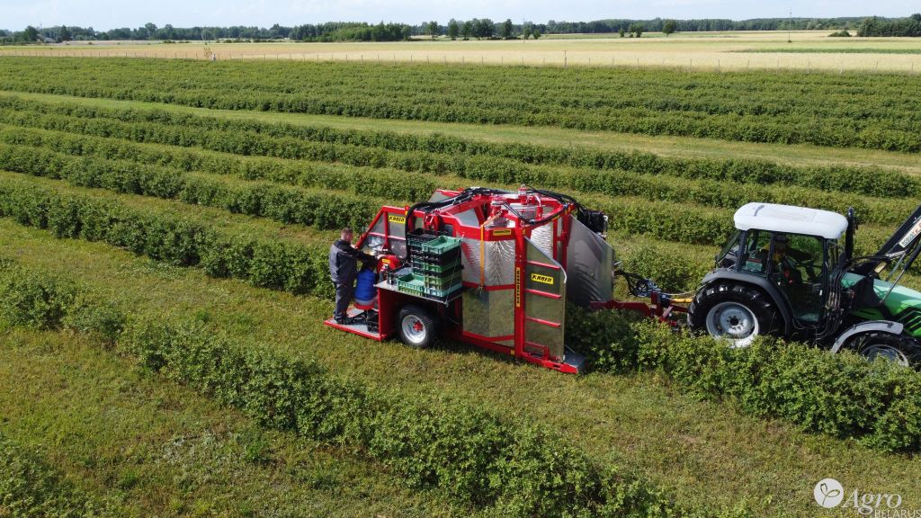 Комбайн полнорядный Karen для уборки малины, голубики