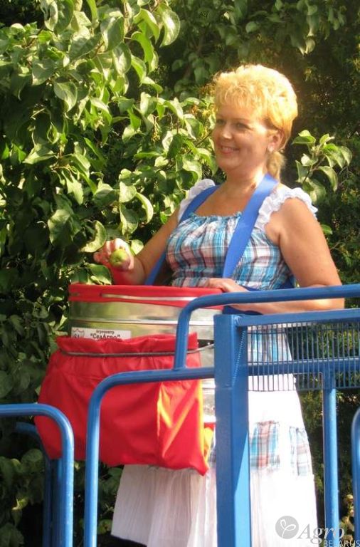 Сумка для сбора плодов большая