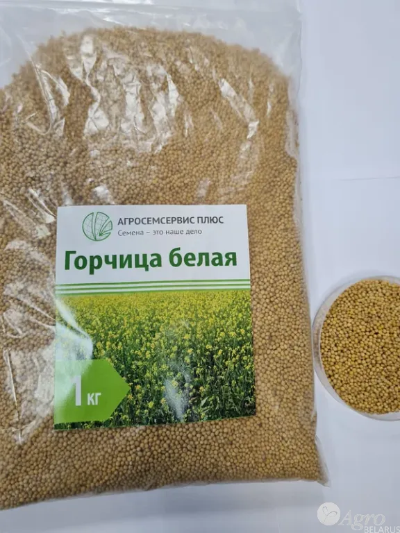 Горчица белая семена