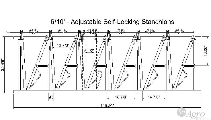     () Adjustable Safe-Locking Stanchions 6/10