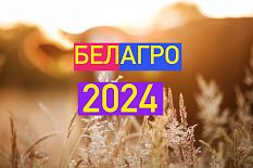 " - 2024"  34-   