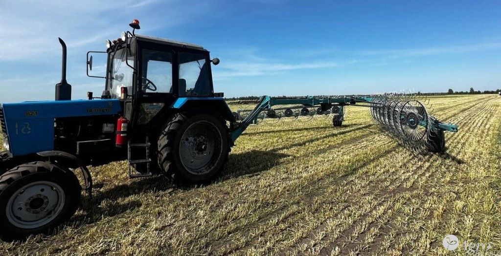 Грабли-ворошилки ГВП-16