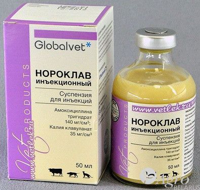 Антибактериальное средство Нороклав инъекционный