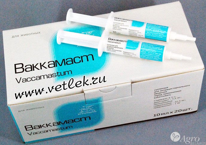 Антибактериальный препарат Ваккамаст 10мл