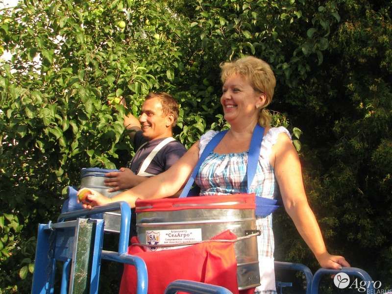 Сумка для сбора плодов малая