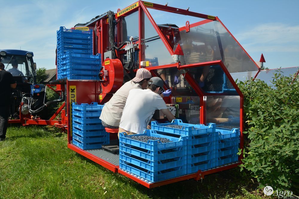 Комбайн полнорядный Karen для уборки малины, голубики