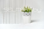Поликарбонат кровельный монолитный 0,8 мм, трапеция