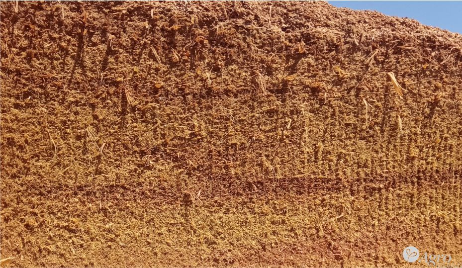 Ковш с фрезой FOLIO Master 250V