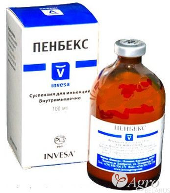 Антибактериальный препарат Пенбекс (Penbex)