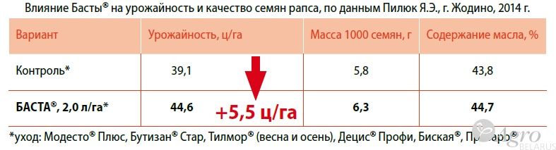 Десикант Баста, ВР