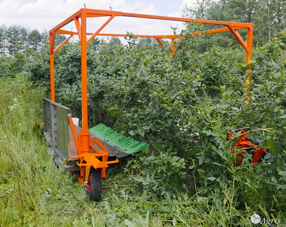 Комбайн для ручной сборки голубики КР-2