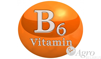 Витамин В6