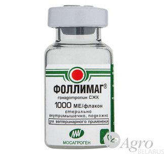 Фоллимаг
