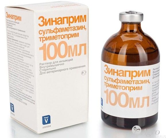 Зинаприм, "INVESA", Испания