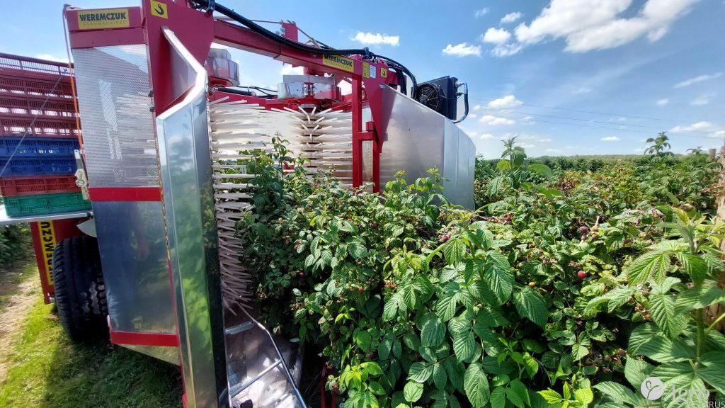 Комбайн полнорядный Karen для уборки малины, голубики