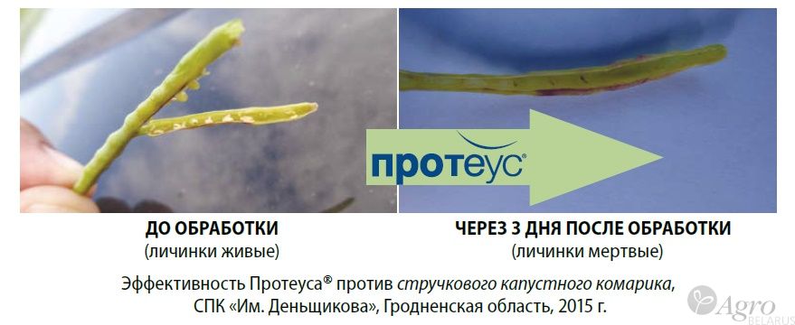 Инсектицид Протеус, МД