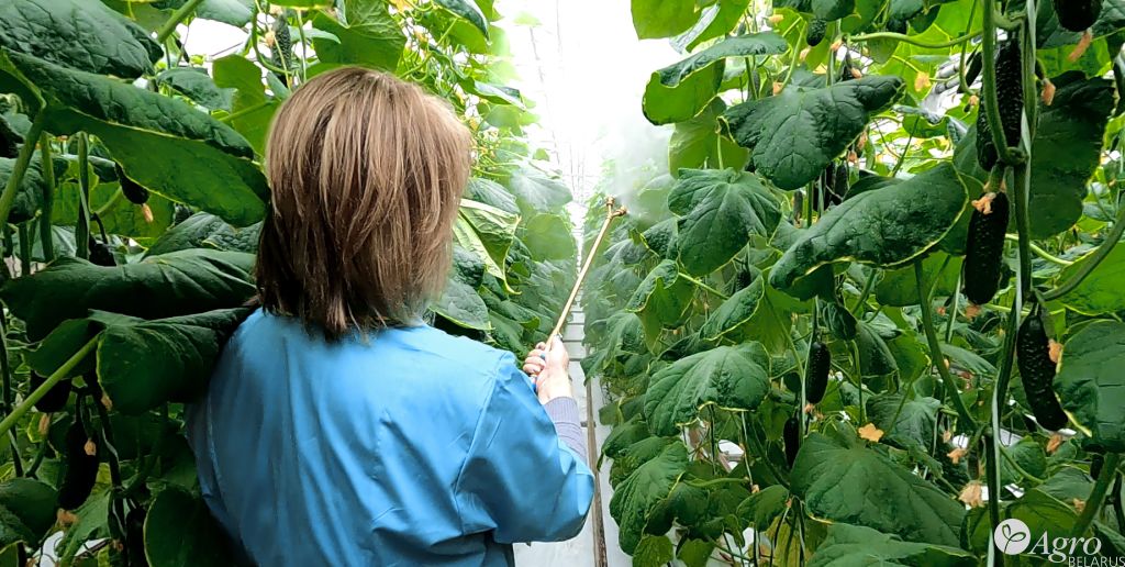 Установка химической обработки многофункциональная УХОУ “СКУМИКС-01”