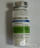 Антибактериальный препарат БИЦИЛЛИН-5