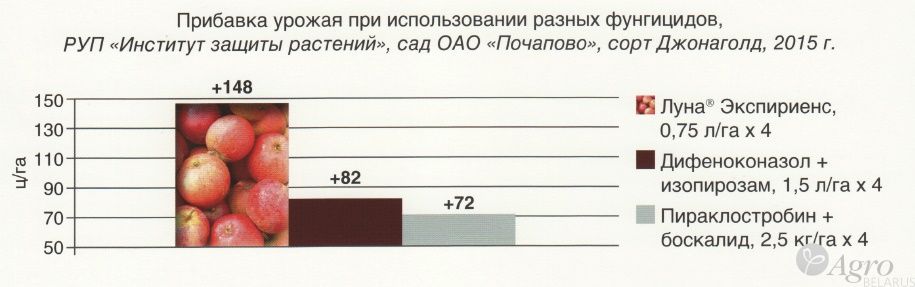 Фунгицид Луна Экспириенс, КС
