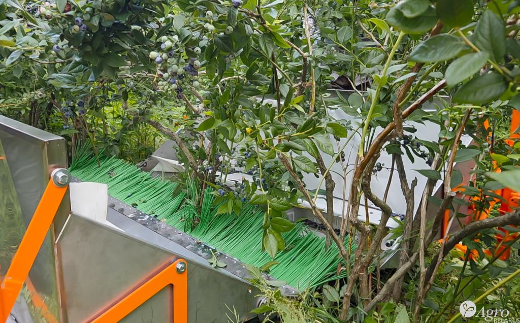 Комбайн для ручной сборки голубики КР-2