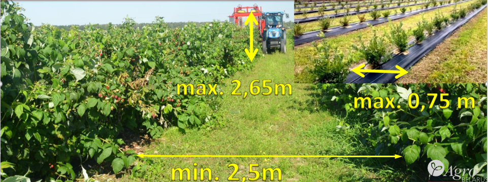 Комбайн полнорядный Karen для уборки малины, голубики