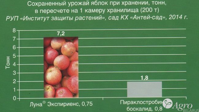 Фунгицид Луна Экспириенс, КС
