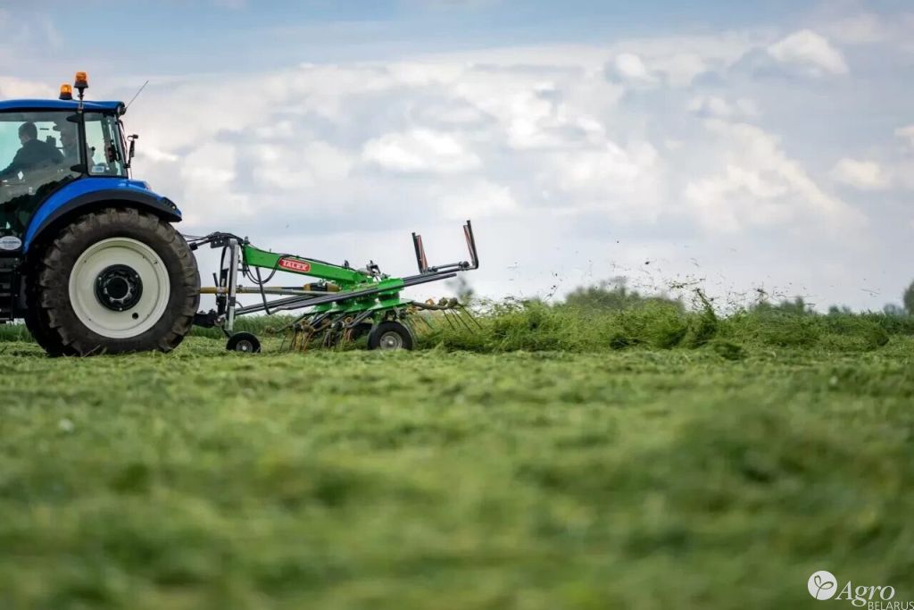 Грабли-ворошилки TORNADO 5,50