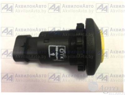 Выключатель кнопочный (ВК-60.3710 (145000АВ))
