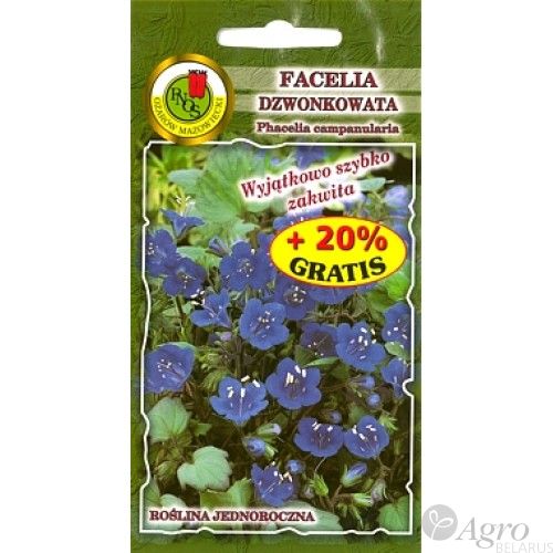 Семена Фацелия колокольчиковая голубая PNOS