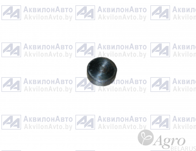 Заглушка (320-1701267)