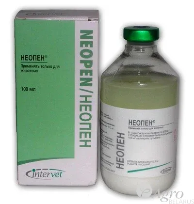 Неопен, "INTERVET", Нидерланды