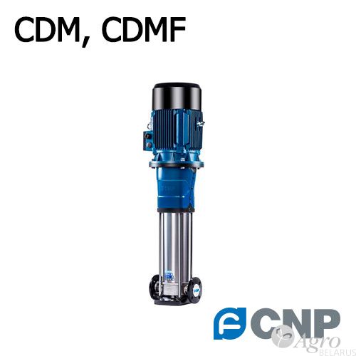     CDM, CDMF (CNP, )