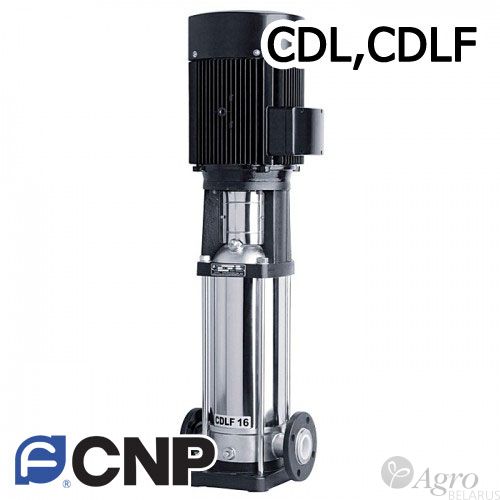     CDL,CDLF (CNP, )